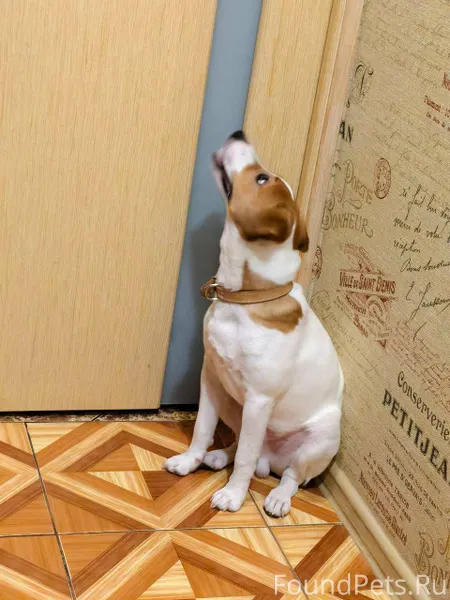 Добрый день. СРОЧНО!! Найден п...