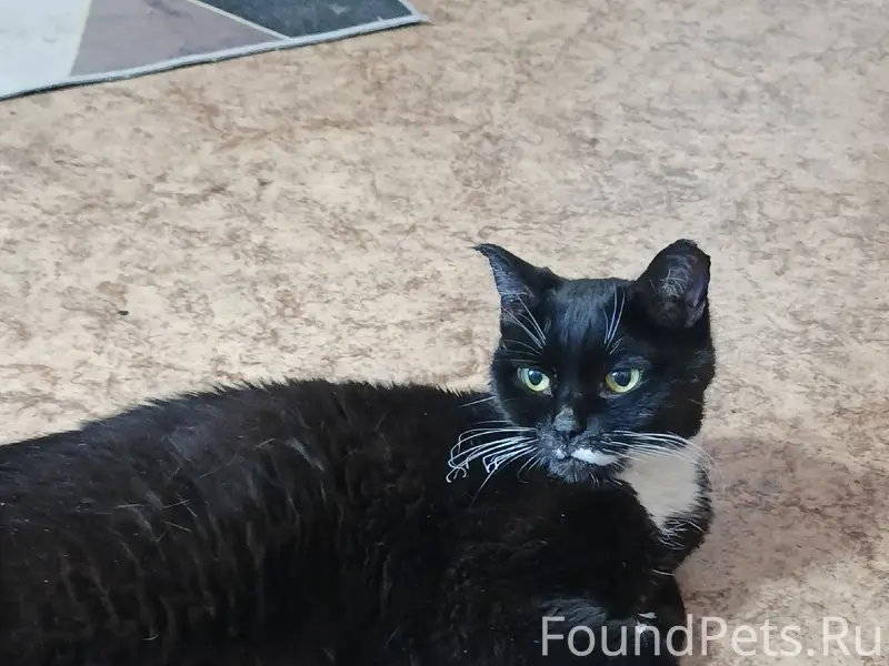 Всем доброго времени суток! 6 ...