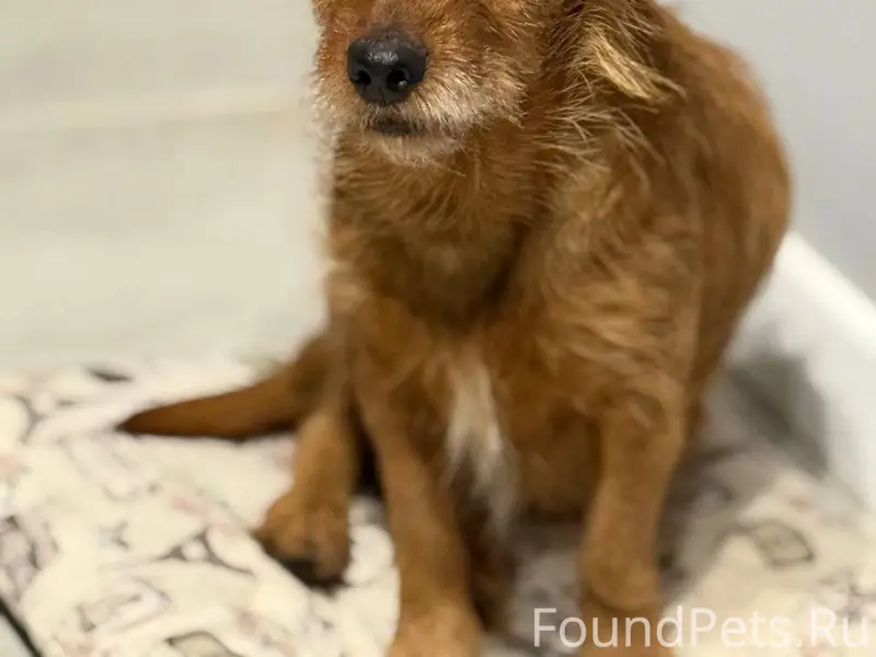 Анонимно! Доброе утро! Найдена...