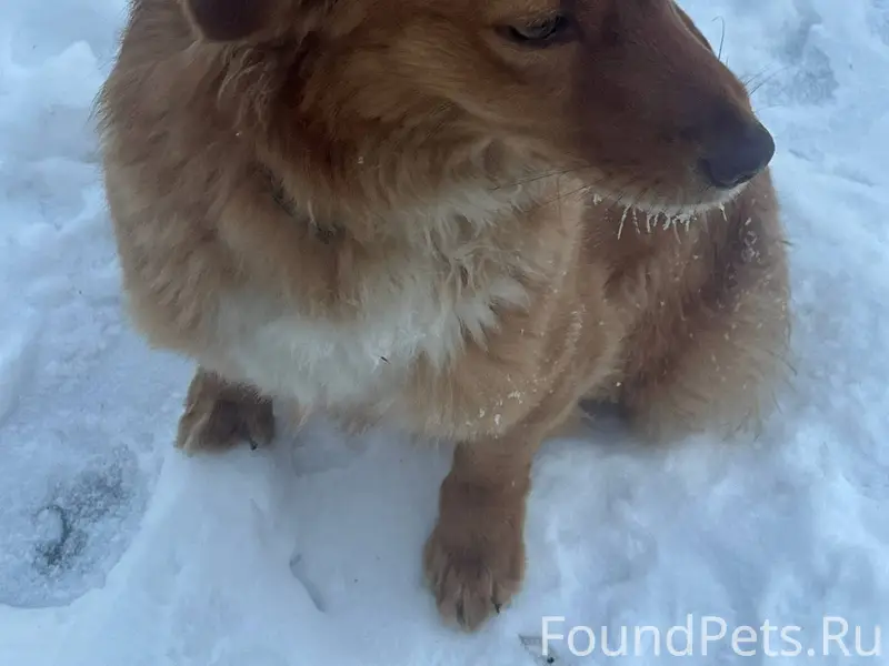 Пожалуйста🙏🙏🙏 максимальный реп...