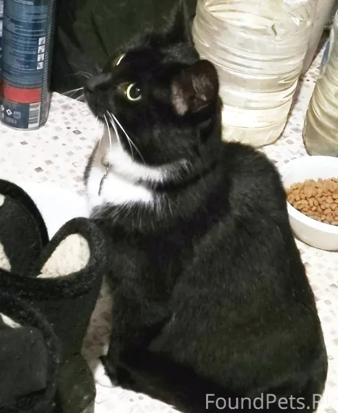 СНТ Мулянский Бережок-2. Найде...