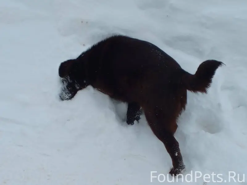 Здравствуйте! Сейчас в районе ...