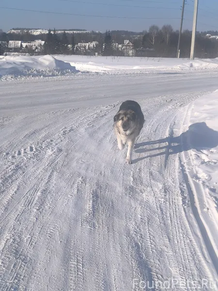 Пожалуйста разместите! Добрый ...