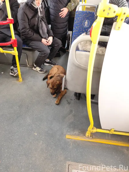 А районе Остановки Богдановка ...