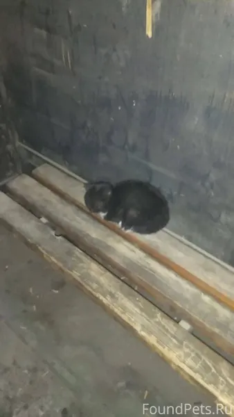 Вчера на остановке Инфекционна...