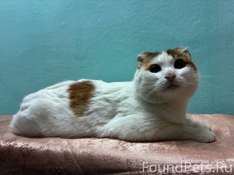 🏠🏠🏠ХОЧУ ДОМОЙ🏠🏠🏠 Весна - уника...