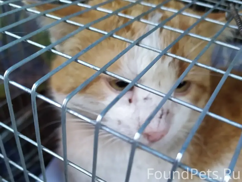 На пересечении Шило и Пархомен...