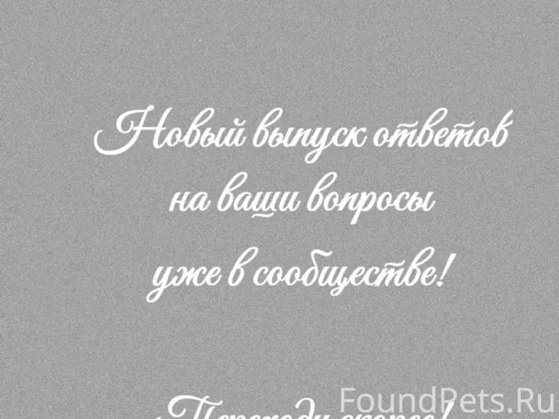 Привет, друзья✨✨✨ Сегодня в ра...