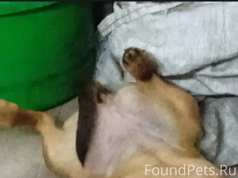 Здравствуйте уважаемые участни...