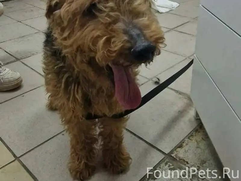 Московская Область! Подольск! ...