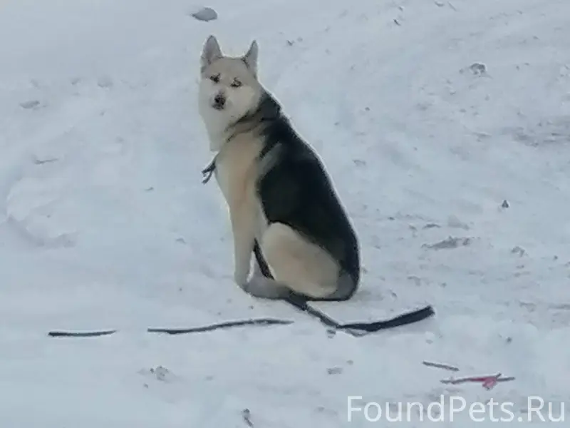 ⚡⚡⚡02.02.2026 в районе конечно...