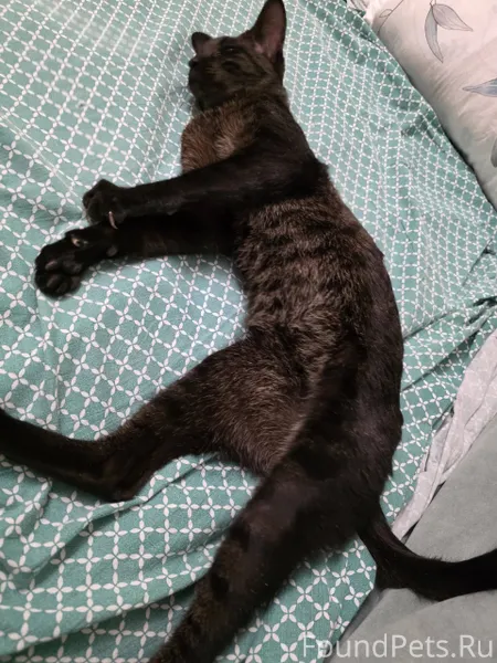 🔴🔴🔴Друзья, добрые люди, вдруг ...