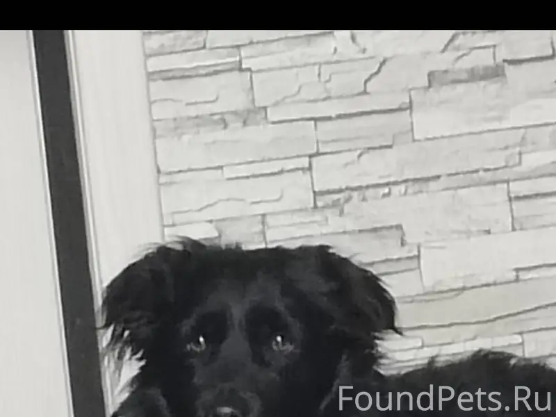 Уважаемые жители мк ДОК. Потер...