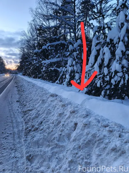 #Калужская_область 31 января н...