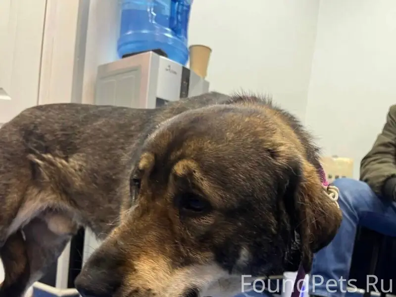 Помогите найти 🙏 01.02.26...