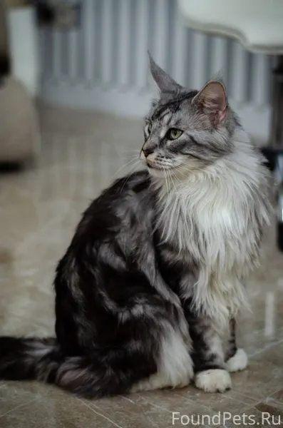 13.08.2025 в Пермский край...