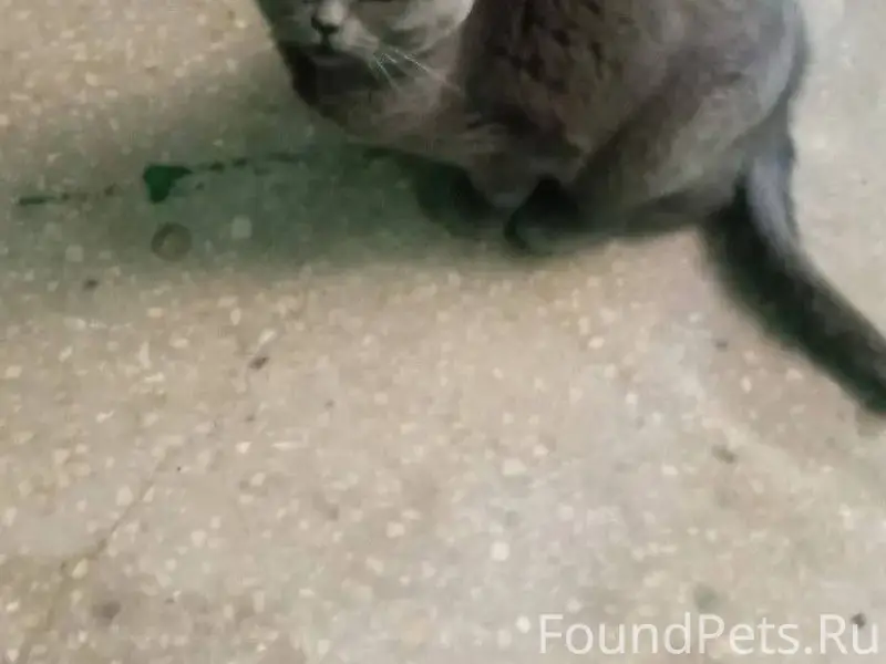 02.02.2026 17:46 🆘🆘🆘...