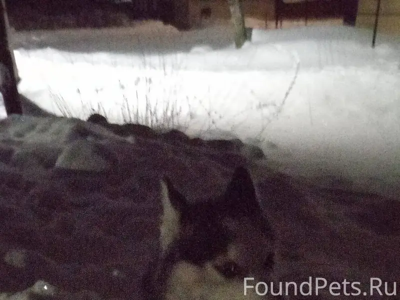 Здравствуйте, в районе красноа...