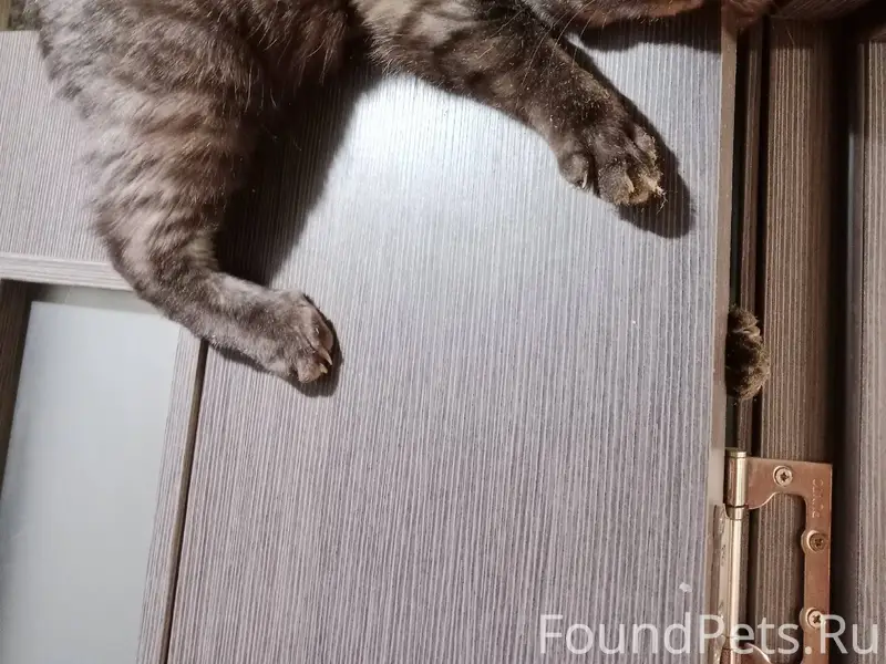 ❗❗❗ВНИМАНИЕ ❗❗❗ 02.02.2026 утр...