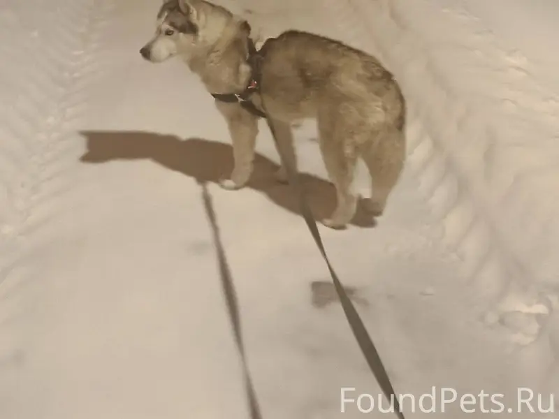 Помогите найти!!! 🙏🙏🙏 Сегодня ...