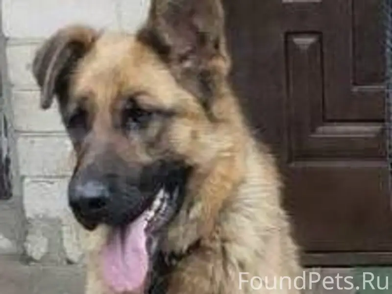 🆘 Помогите найти 🆘 📍Белгород🏡 ...