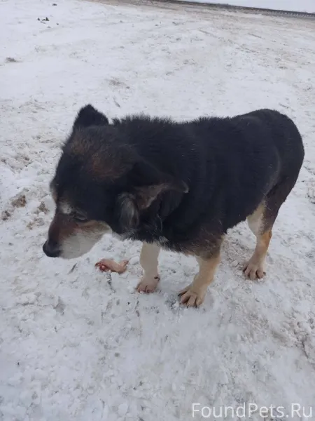 🆘🆘🆘🆘🆘🆘🆘🆘🆘🆘🆘🆘🆘🆘 ⚠️ПОМОГАЮ ИНФОР...