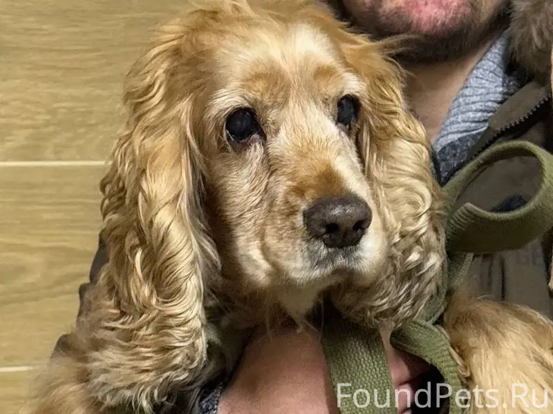 Иркутск, ЖК Стрижи 31.01.2026....