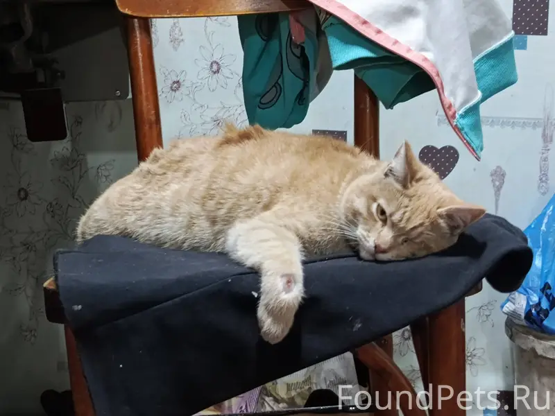 Здравствуйте, вчера (01.02.202...