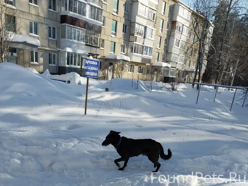 3 день во дворе по адресу...