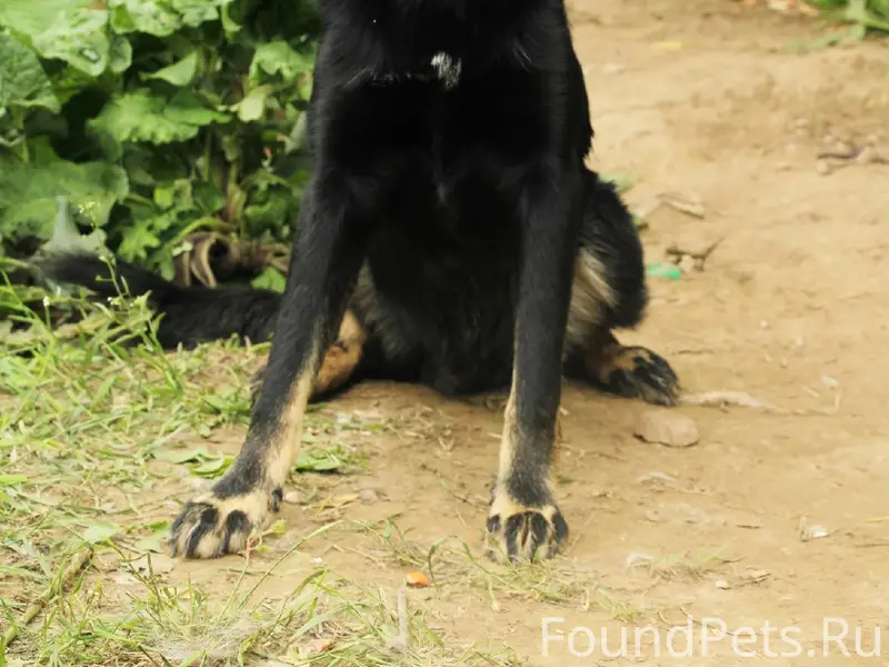 ПРОПАЛ ЛЮБИМЫЙ МАЛЬЧИК