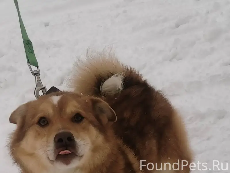 Уважаемые друзья! Прошу максим...