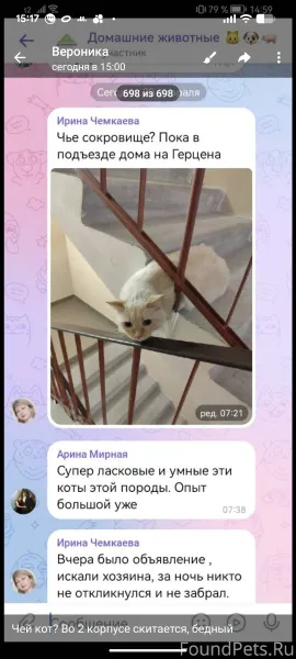 Найден кот со вчера 19.02...