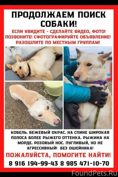 Поиск продолжается. Пожалуйста...