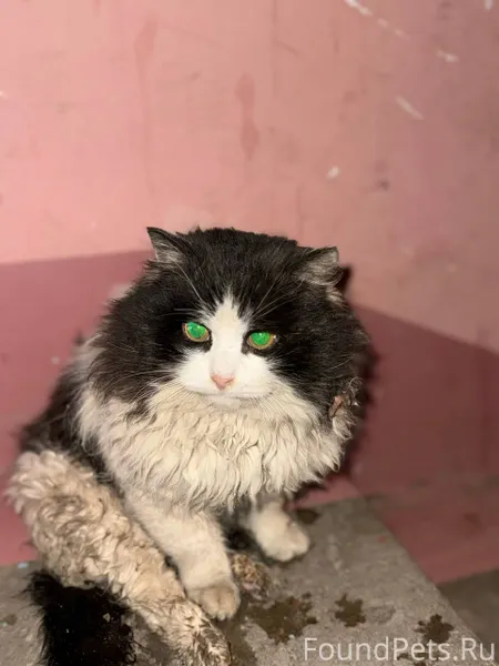 Вчера в 22ч возле д. 2...