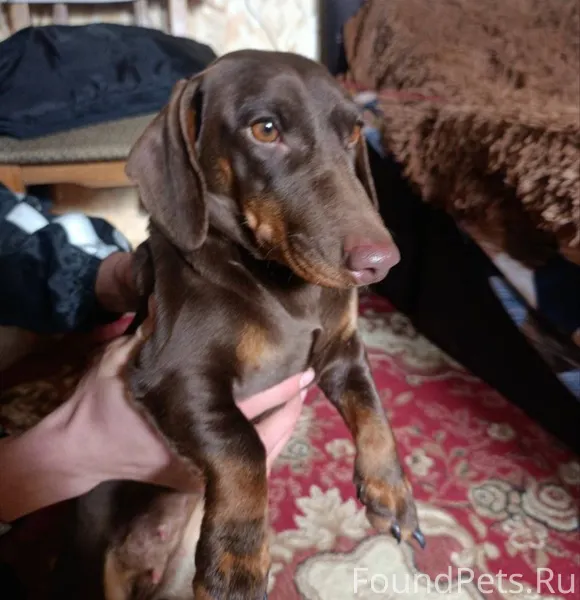 #Калужская_область #Балабаново...