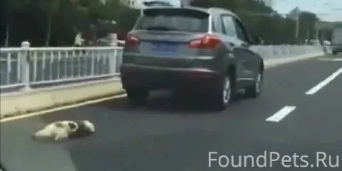 НАЙДЕНО ПОХОЖЕЕ......... 2022-...