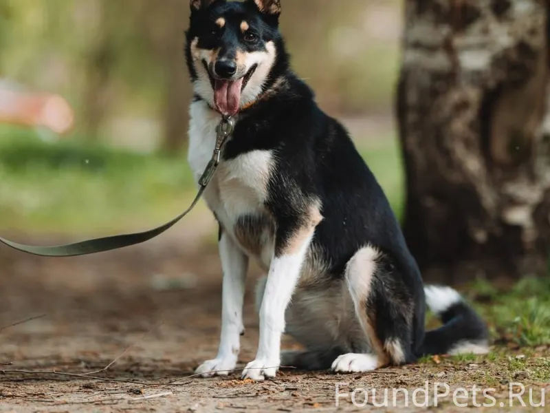 СРОЧНО! Прошу репосты! На Заре...