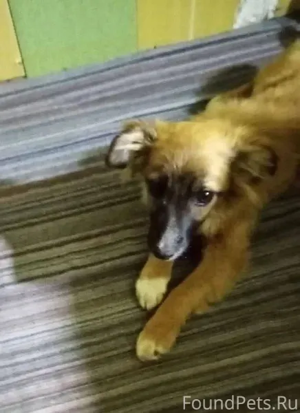 ‼️‼️ПОМОГАЮ ИНФОРМАЦИОННО‼️‼️ ...