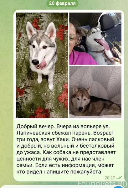 Вчера в посёлке Петровский пот...