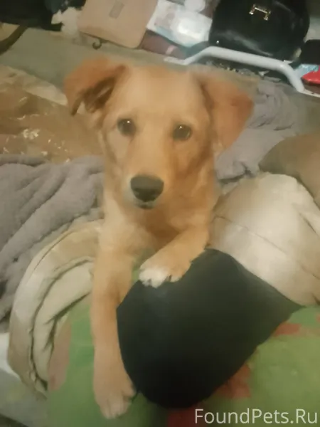 19. 02. 2026 года в 22...