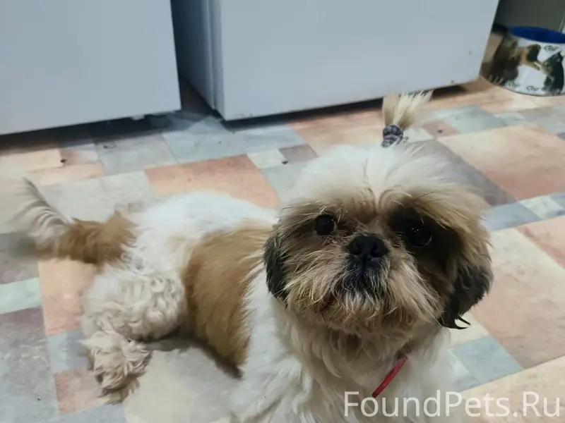 Помогите пожалуйста найти. Сег...