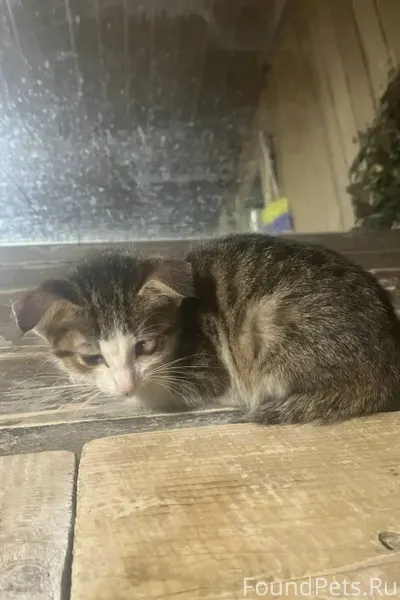 Даже не знаю,пишу с обреченнос...