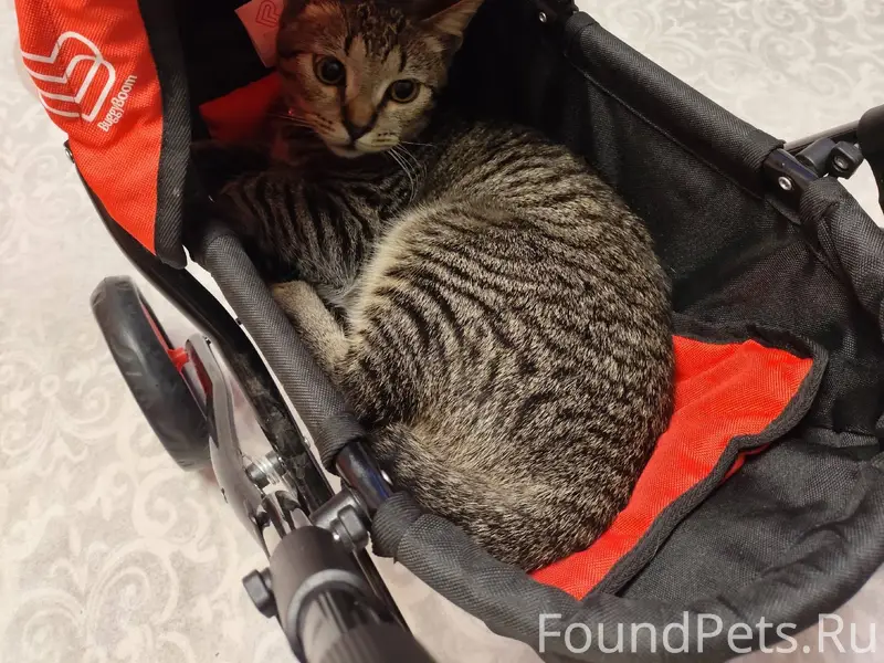 В селе Железнодорожное, в райо...