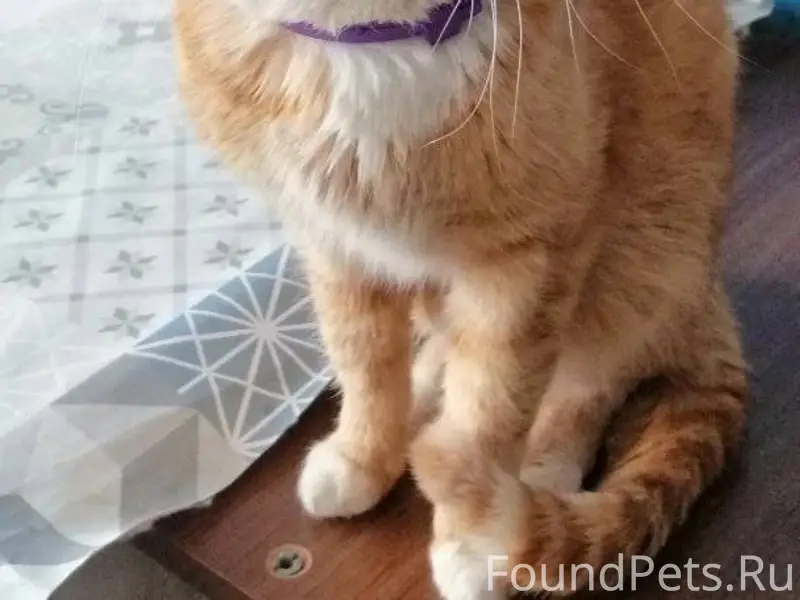 Добрый вечер. Позвонила знаком...