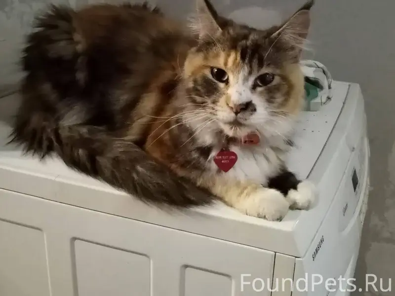 ПОИСК Внимание, Сулажгора! Час...