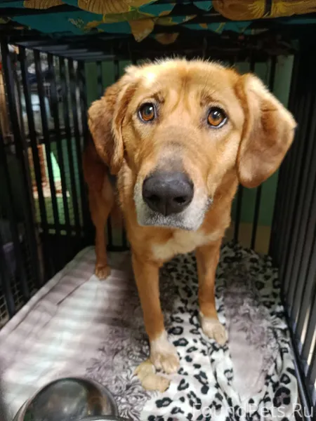 Чусовой, Пермский край ‼️ Найд...