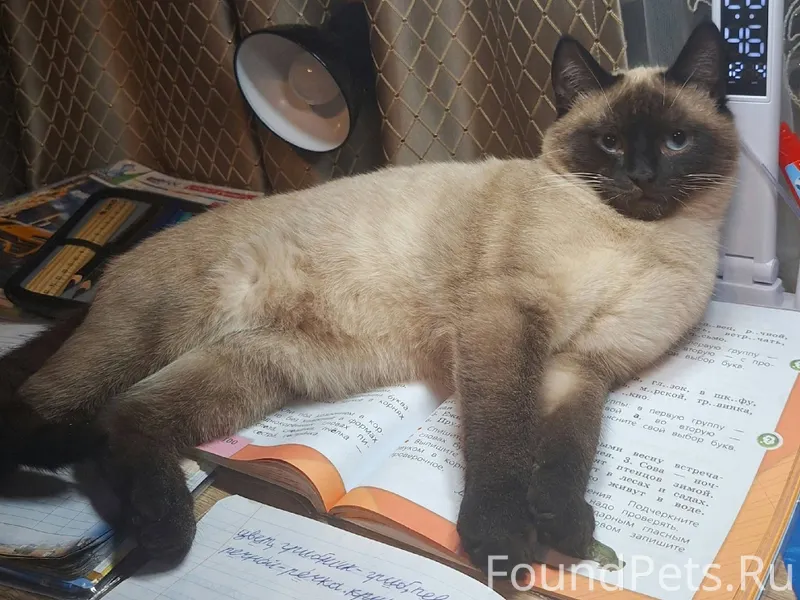 Здравствуйте! Помогите найти к...