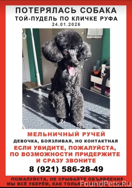 .Всеволожск,Мельничный ручей У...