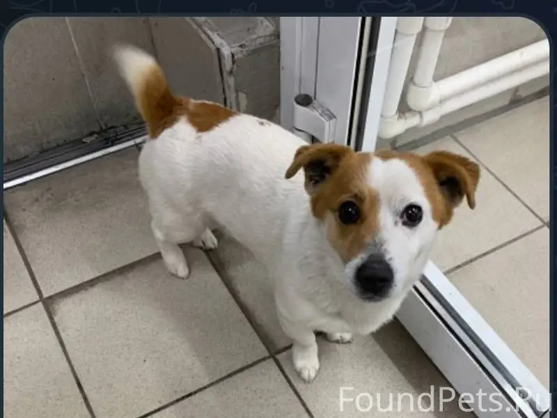 Здравствуйте! Опубликуйте пожалуйста срочно! 🆘🆘🆘 Убежала...