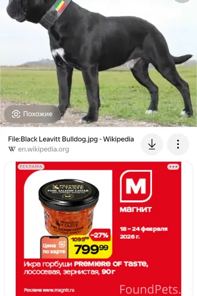 Вышла ночью на балкон и увидела...